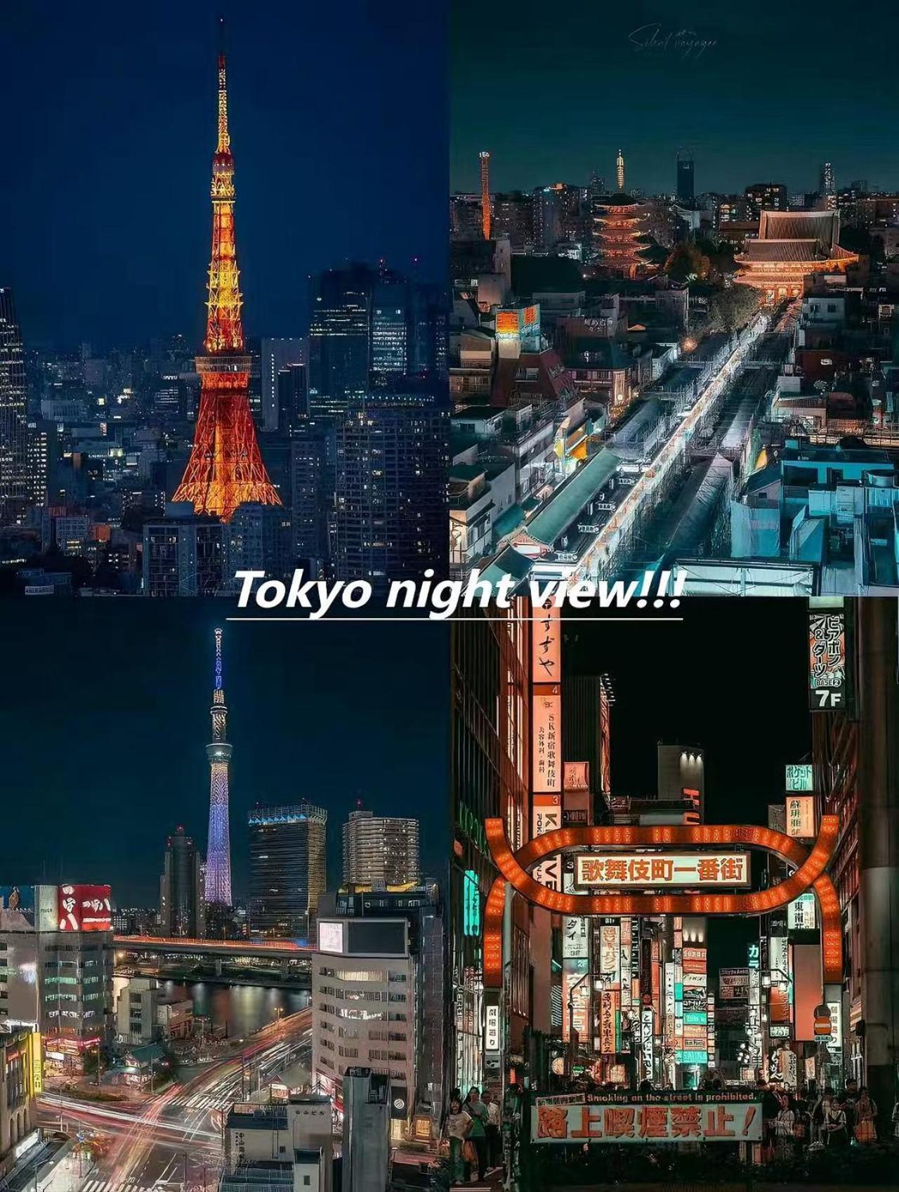 桜の川25 Minowa To Ueno 3 Mins Akihabara 5mins 别墅 東京都