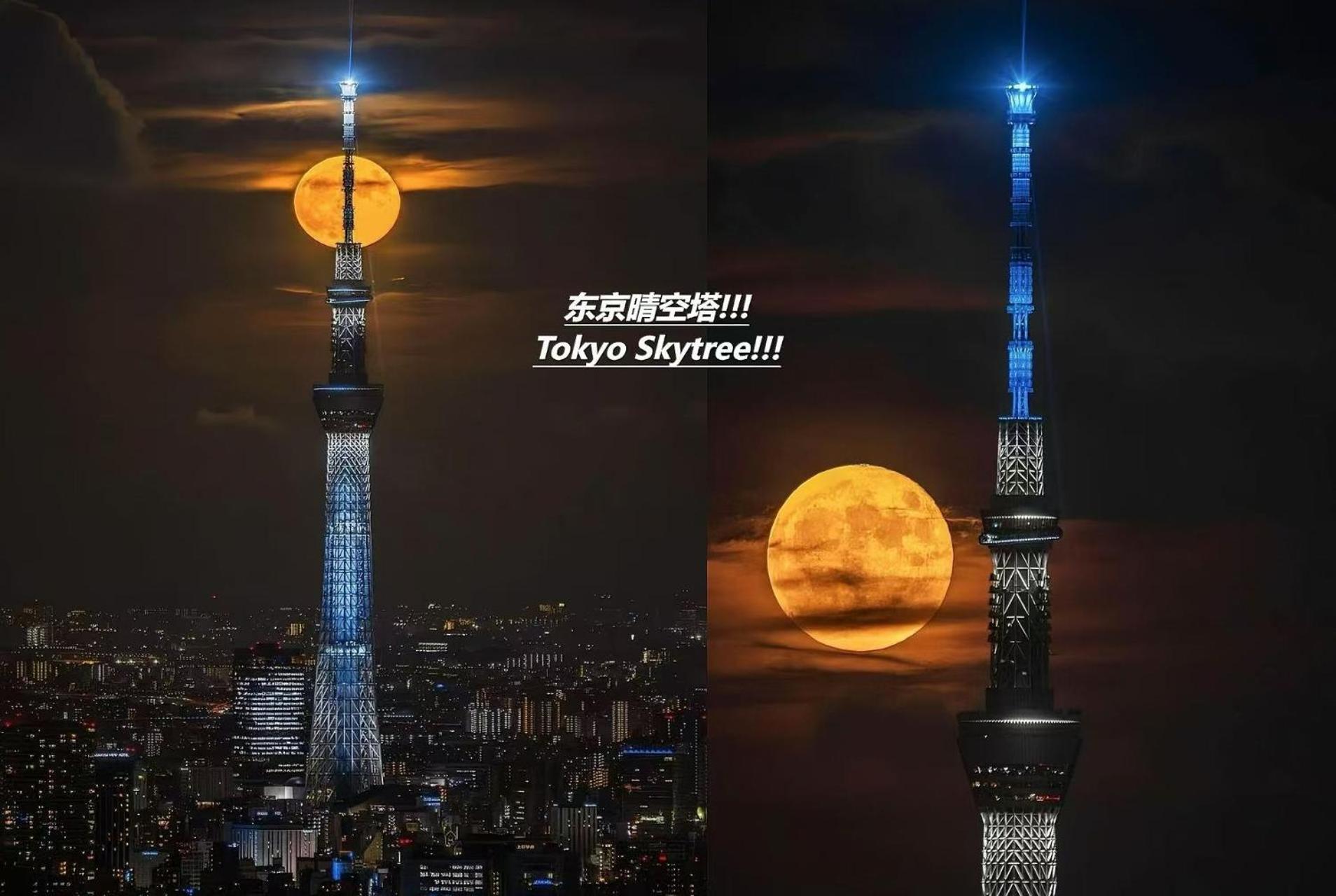 桜の川25 Minowa To Ueno 3 Mins Akihabara 5mins 别墅 *