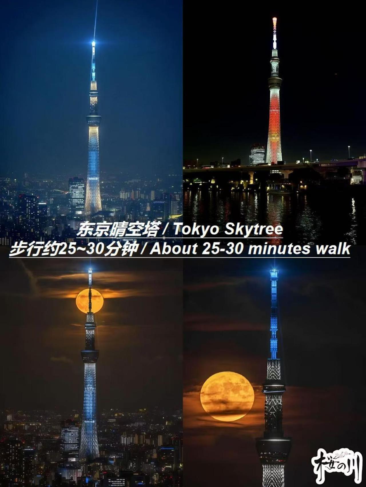 别墅 桜の川25 Minowa To Ueno 3 Mins Akihabara 5mins
