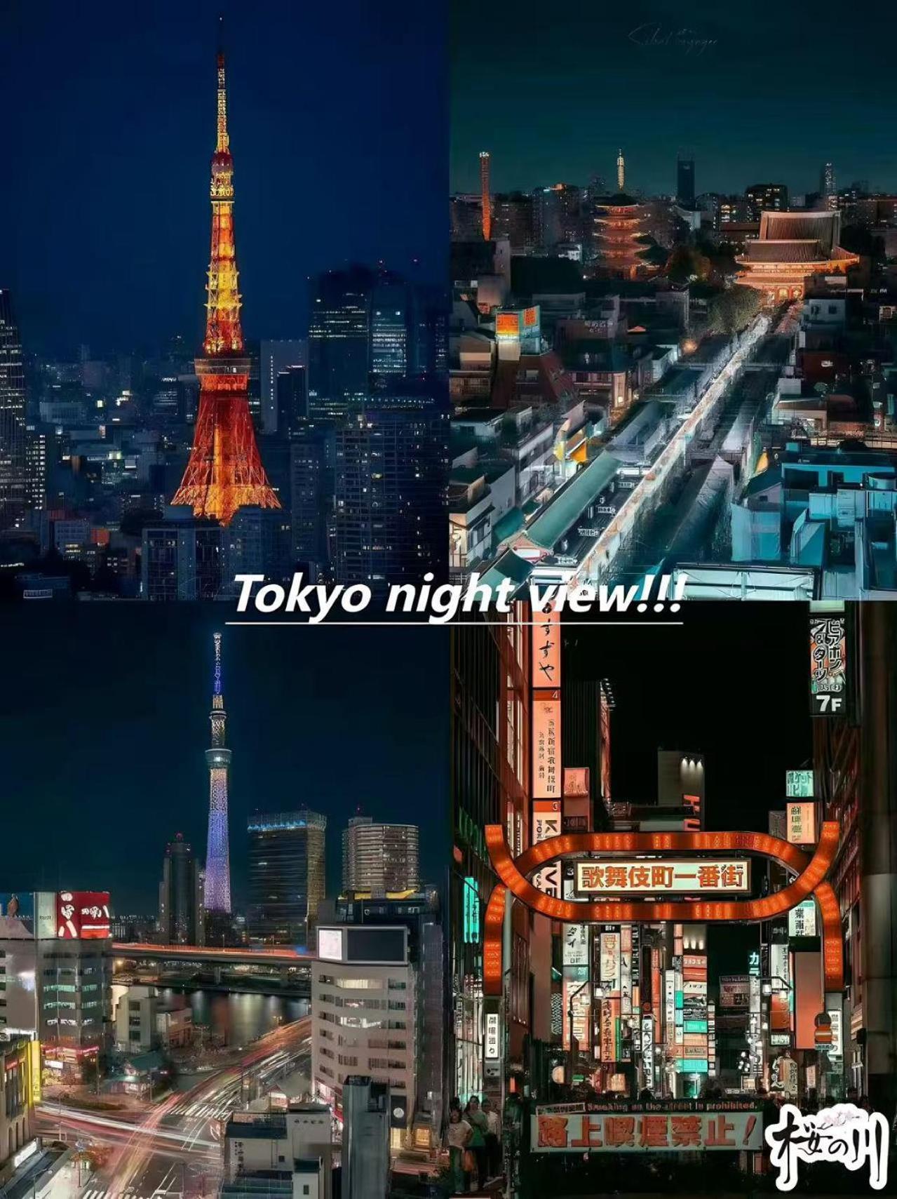 桜の川25 Minowa To Ueno 3 Mins Akihabara 5mins 别墅 東京都
